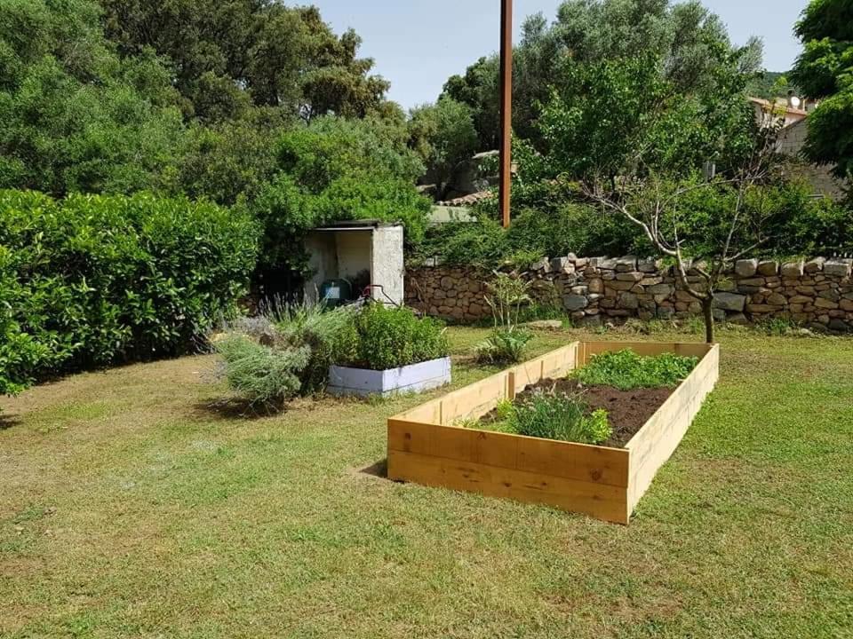 Orasi Sartene Gite Casa Fiurita Exterior photo